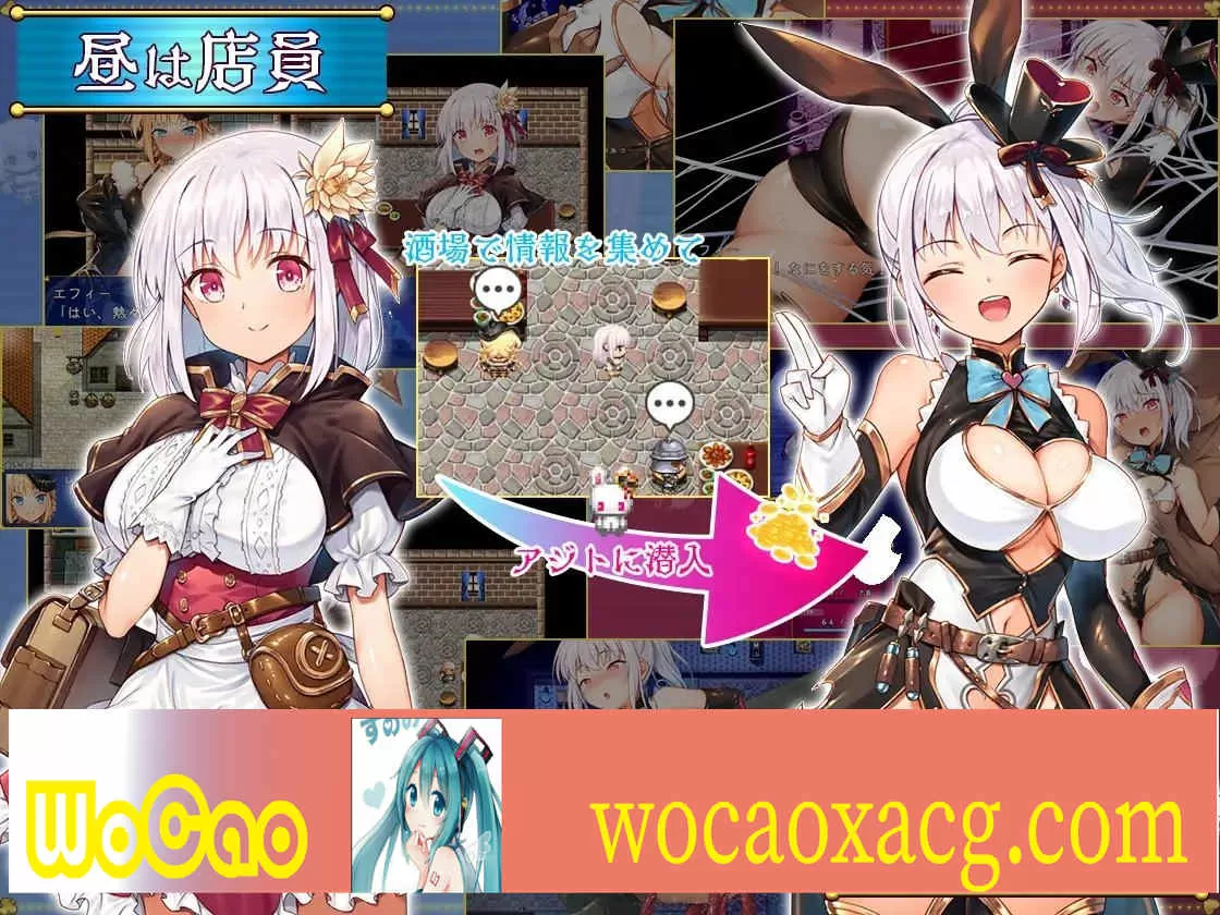 [爆款精品RPG/中文/动态]怪盗艾菲 Ver1.03 官方中文版+DL限定特点[战斗エロ/全CV][1G/百度]』