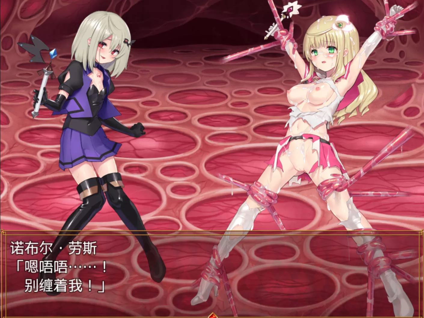 魔法少女：诺布尔·劳斯 (3).jpg