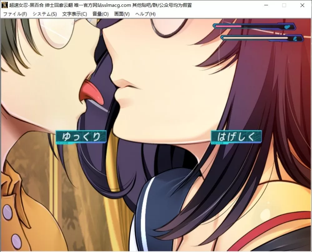 【大作ACT+STG汉化动态全CV】超速女忍-黑百合V1.00云汉化版+全CG包【新汉化3.6G】【补档】