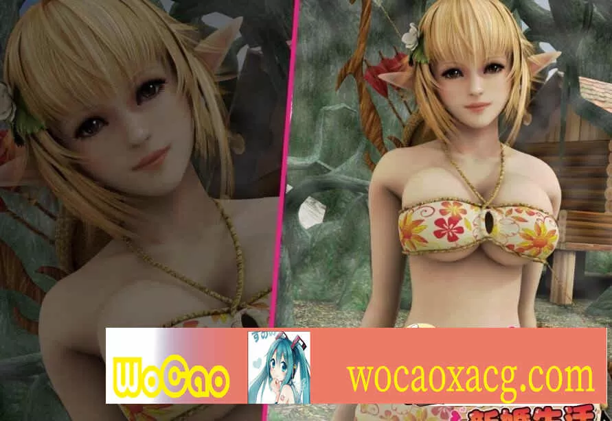 [HAG/全动态/3D] 甜腻生活！和金发精灵妻子开心造宝宝 完整版+付动画[百度] [1G]』