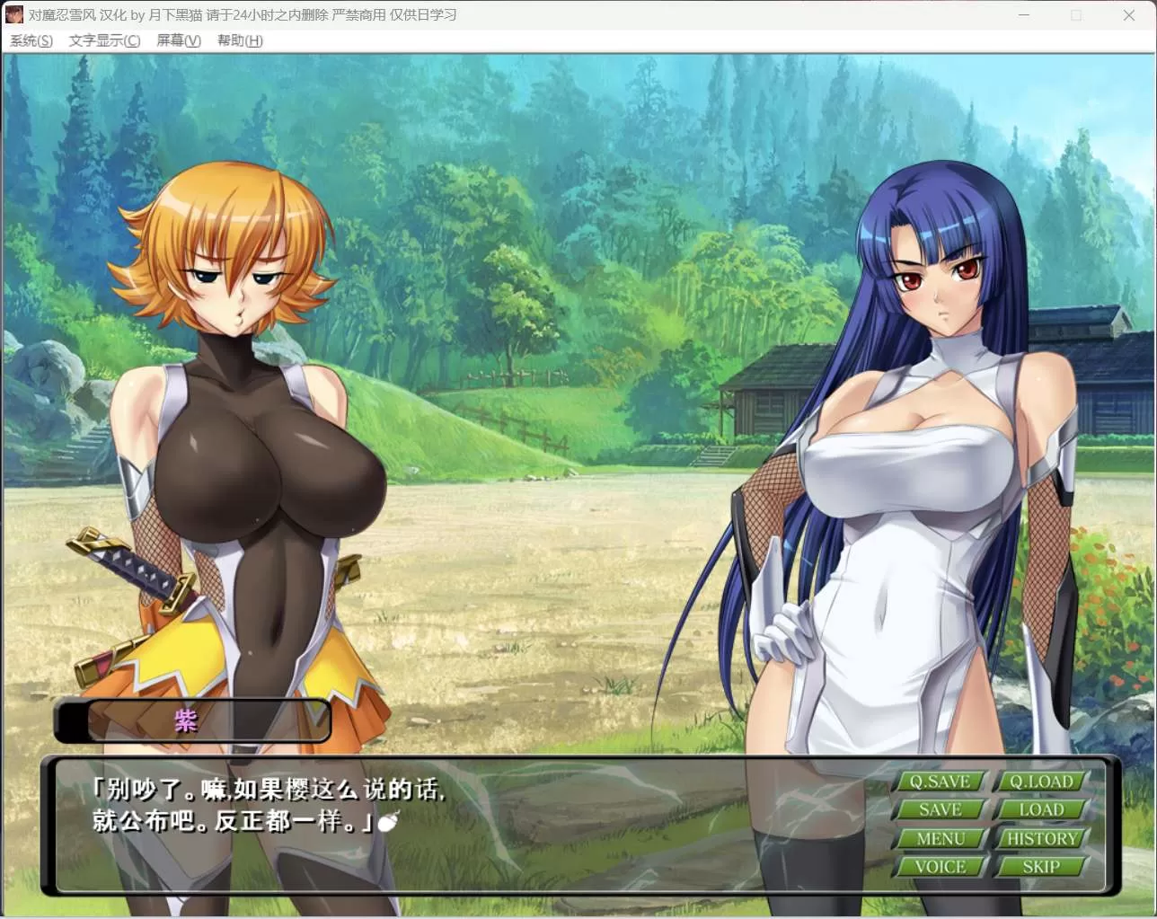 【大拔作ADV汉化全CV】对魔忍雪风【安卓+PC】AI精翻汉化版+全CG回想【新汉化900M】