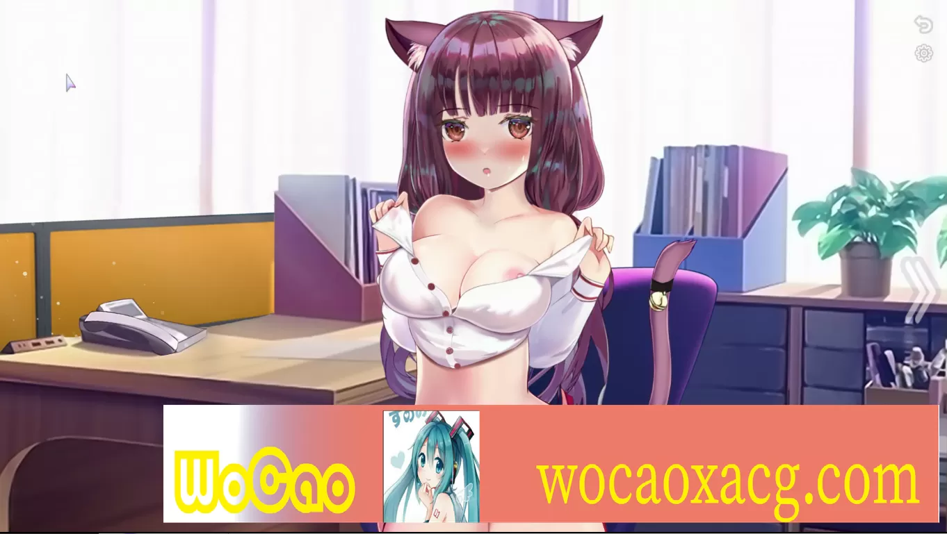 [SLG/动态] 猫咪夜生活 Neko Office Nightlife Adventures 步兵版 [百度][440M]』