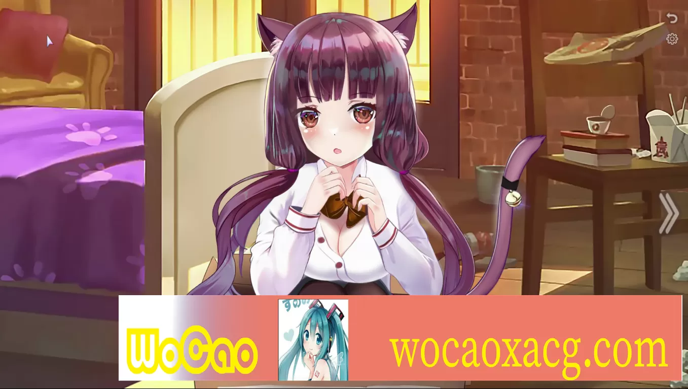 [SLG/动态] 猫咪夜生活 Neko Office Nightlife Adventures 步兵版 [百度][440M]』