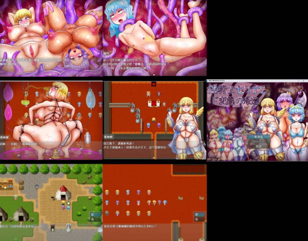 [RPG/汉化]性骑士瑟琳娜与变泰的归来 性騎士セリナとド変態の帰還v1.0.2 [PC/300M]