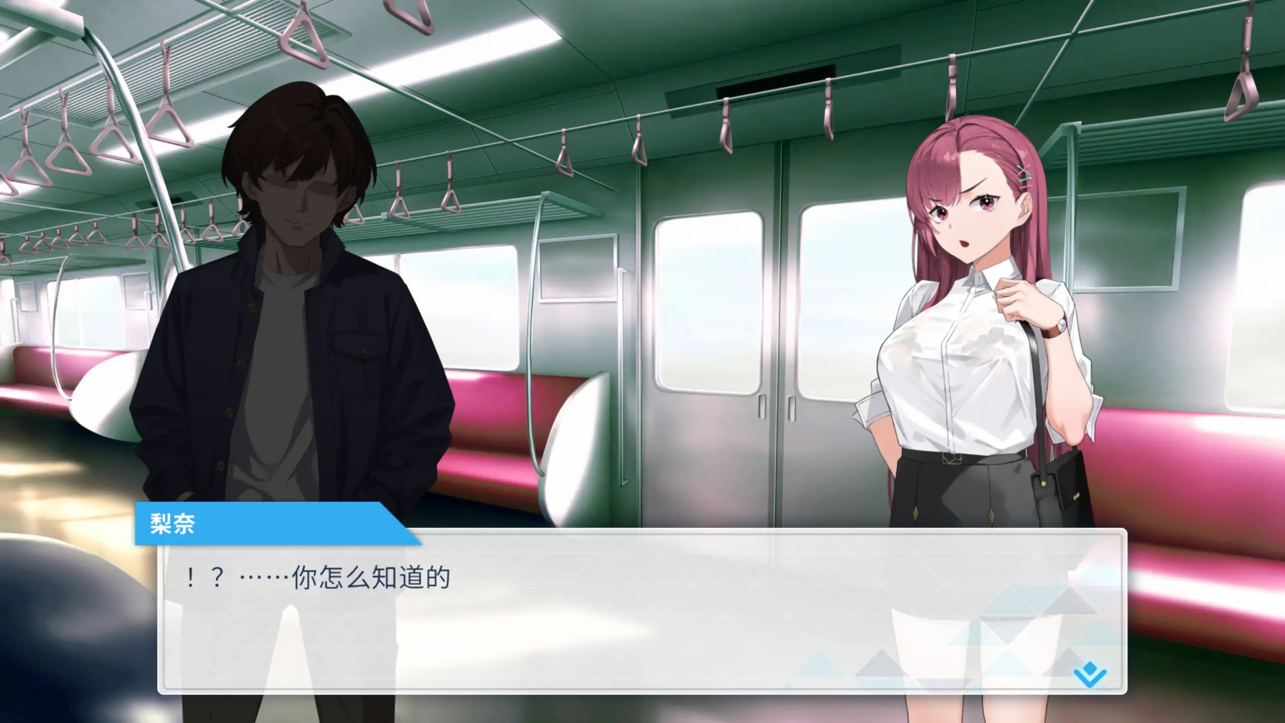 诱饵痴汉搜查官莉娜 1.17 官方中文下载 | 日系SLG 0.45G PC