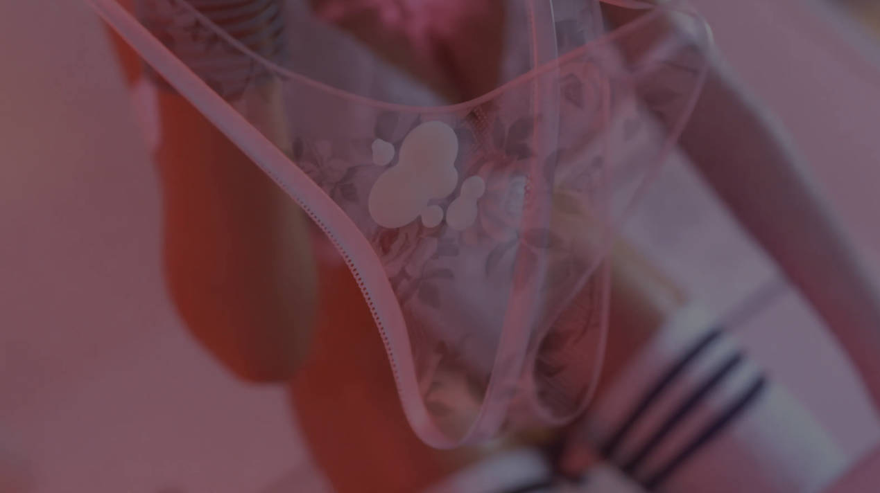 霍莉最后笑了6.10 汉化动态版 | PC 安卓 策略SLG 下载 6.21G