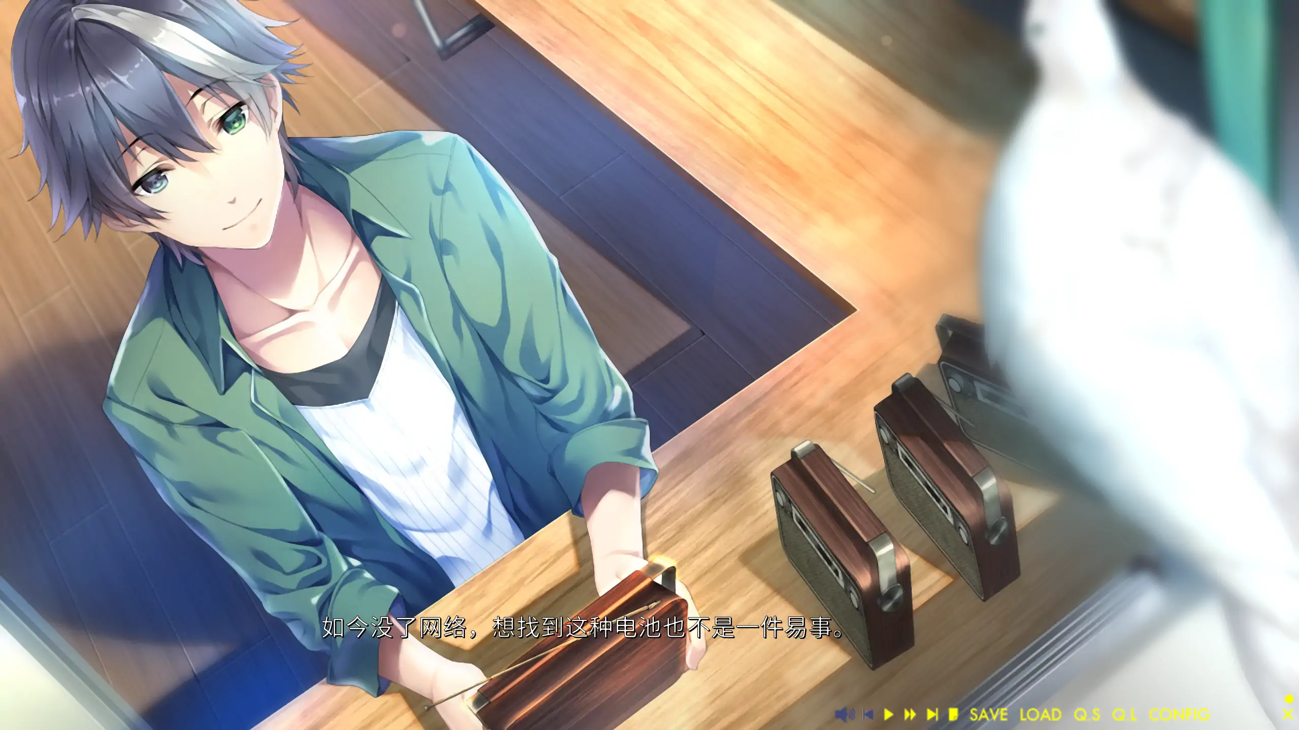 未来广播与人工鸽 1.0 官方中文 日系ADV PC下载